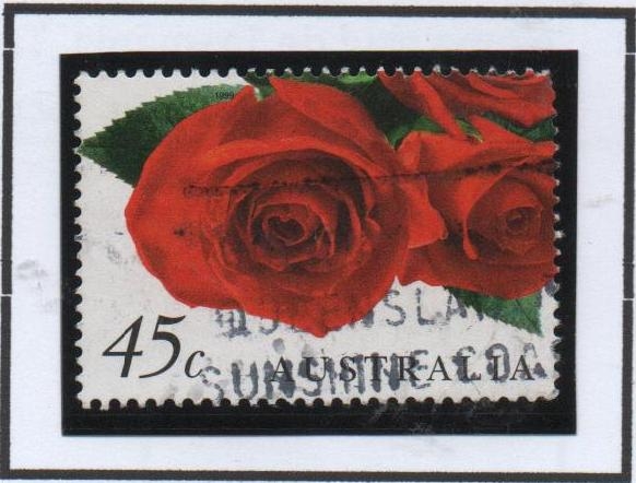 Rosas Rojas