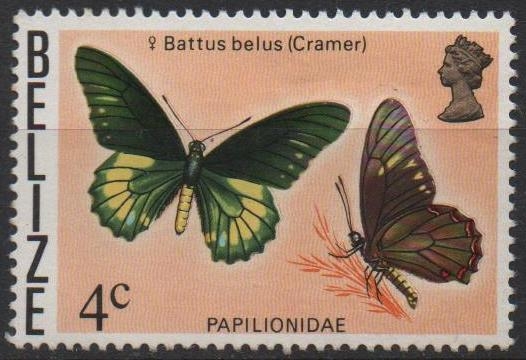 Mariposas:Belus