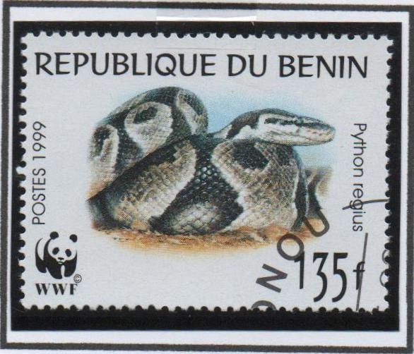 python Regius
