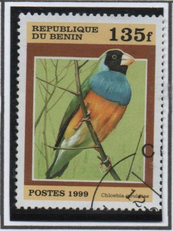 Chlebia gouldias