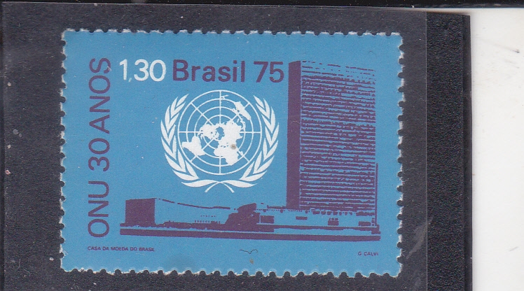ONU 30 aniversario 