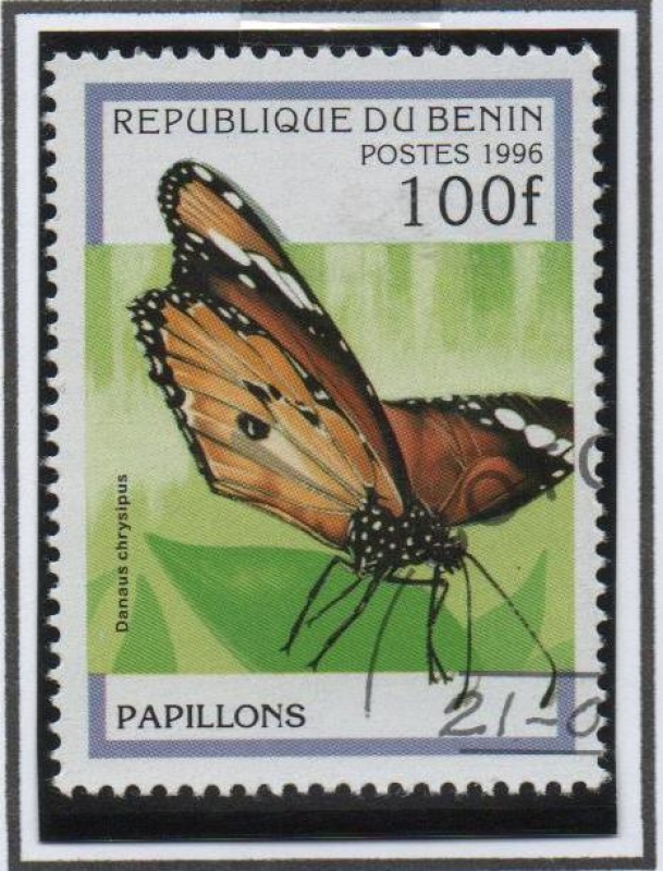 Mariposas: Danaus Chrysipus