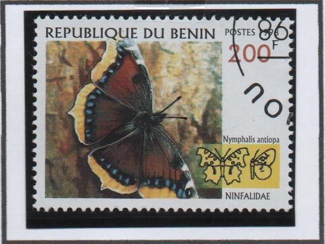 Mariposas: Nymphalis
