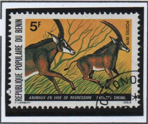 Antilopes