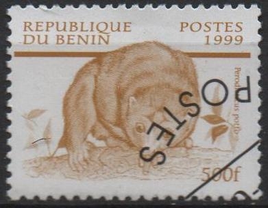 Fauna Africana: Perodicticus