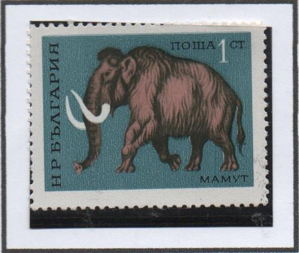 Mammoth