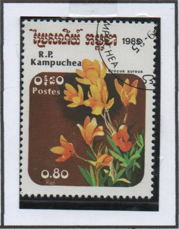 Flores: Crocus