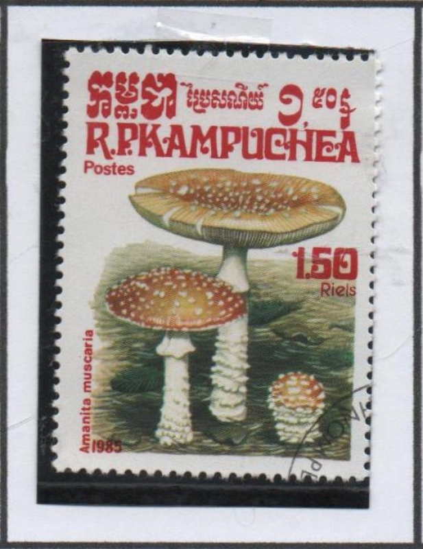 Hongos: Coprinus