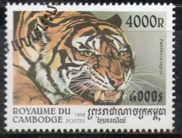 Tigres