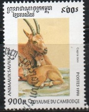 Cabra Ibex