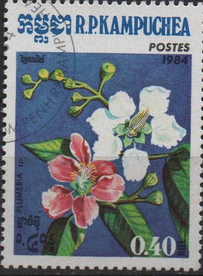 Flores: Plumeria