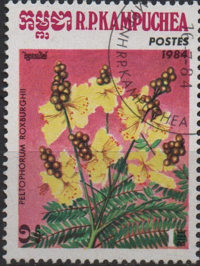 Flores: Peltophorum