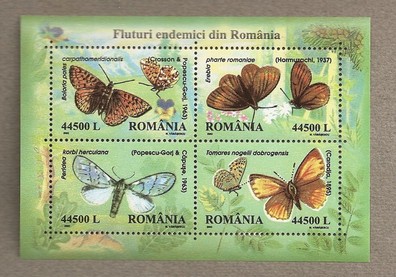 Mariposas endémicas de Rumanía