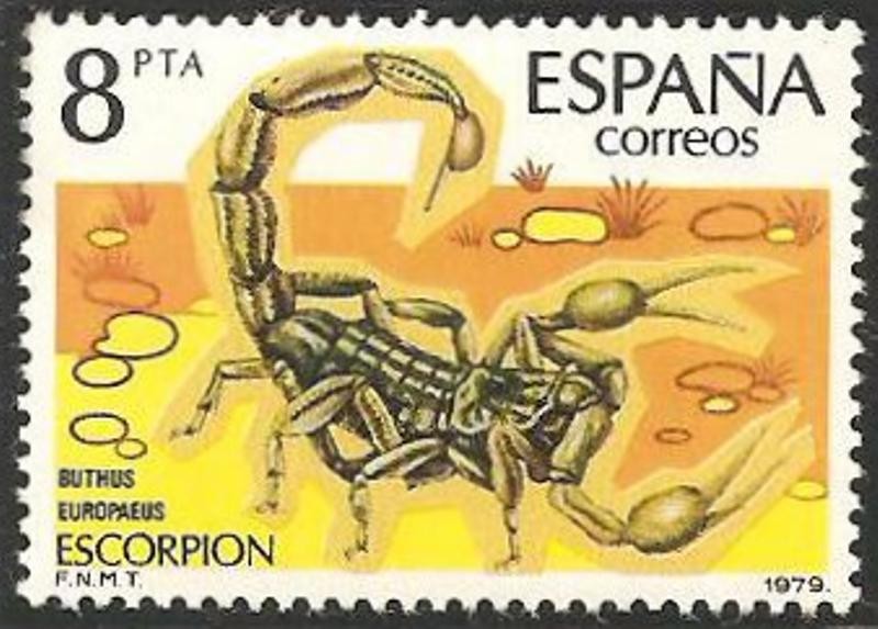 2533 - fauna invertebrados, escorpion