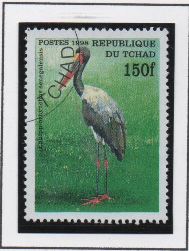 Pajaros: Ephipporhynchus Senegalensis