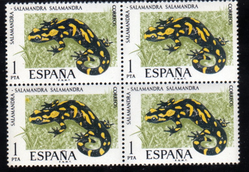 1975 B4 Fauna: Salamandra Edifil 2272