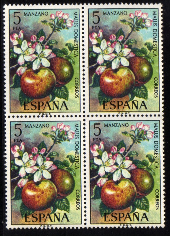 1975 B4 Flora: manzano Edifil 2258