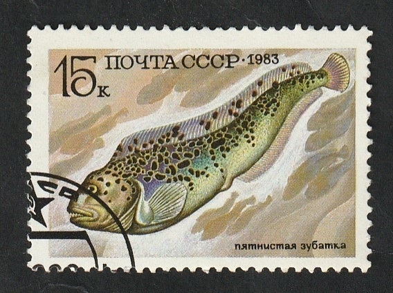 5019 - Fauna marina