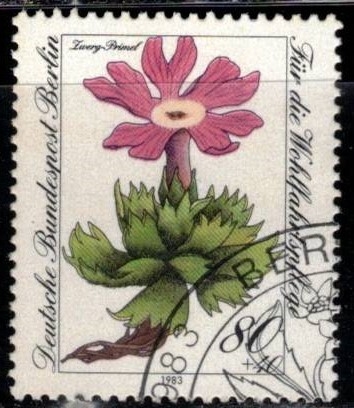 Sellos de Bienestar: Flores alpinas en peligro de extinción.