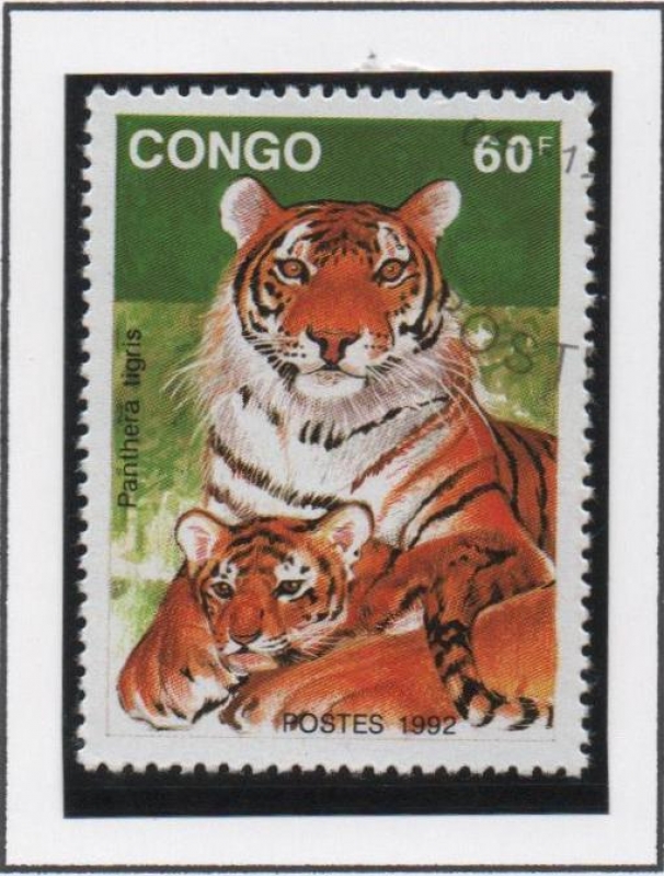 Tigre