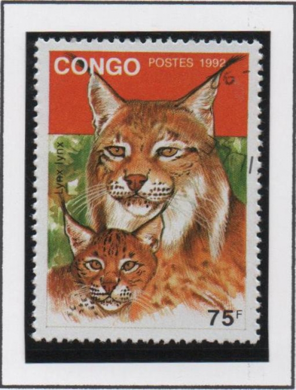 Lince