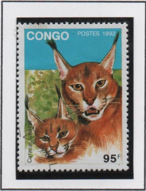 Caracal