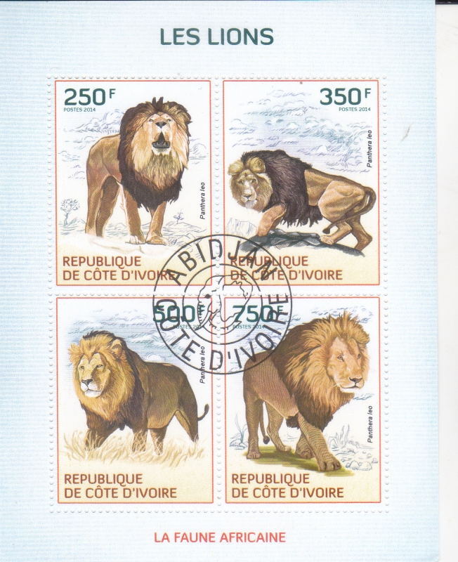 LEONES