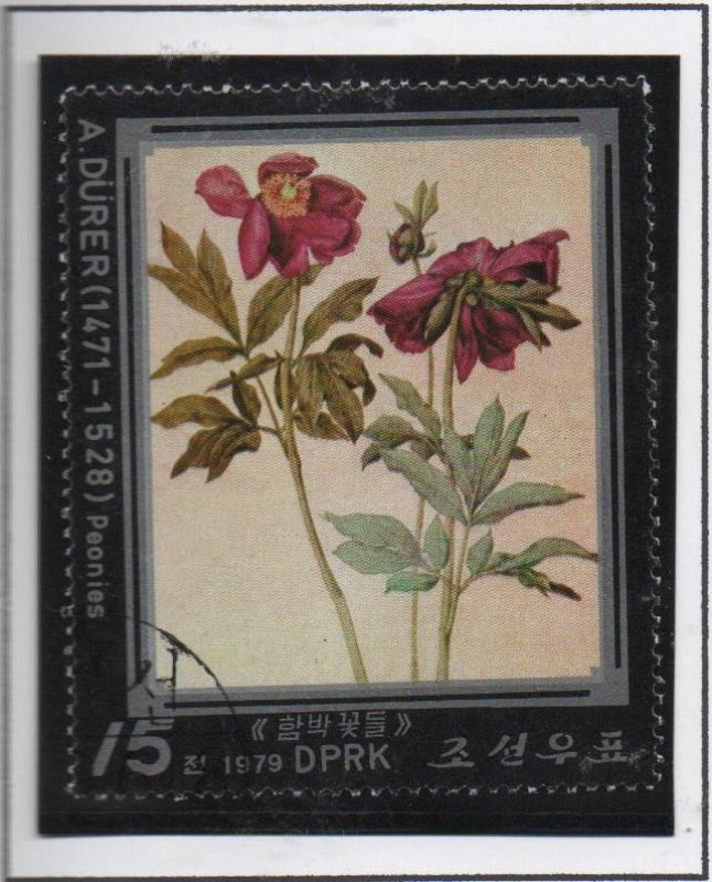 Pinturas d' Duero: Peonias