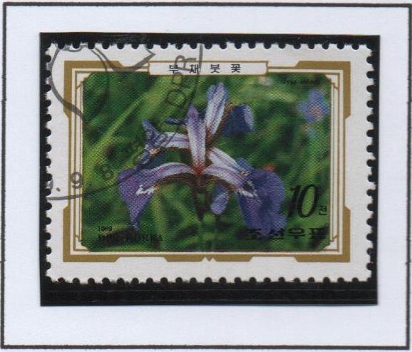 Flores Alpinas: Iris setosa