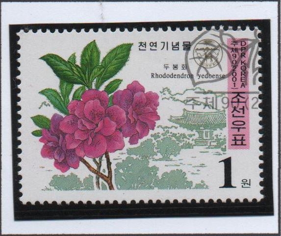 Plantas Protegidas: Rhododendron Yedoense