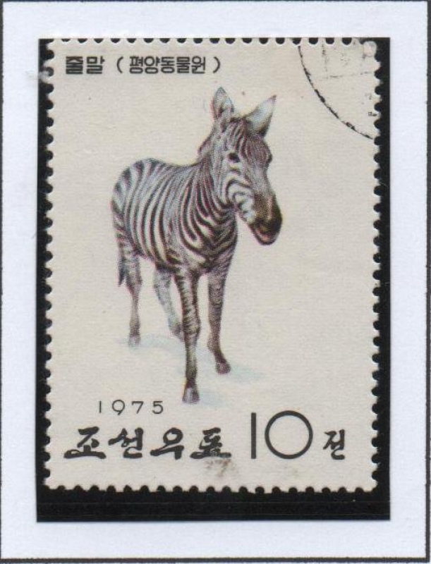 Pyongyang Zoo: Cebra