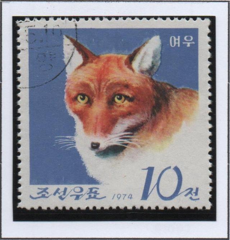 Pyongyang Zoo: Zorro