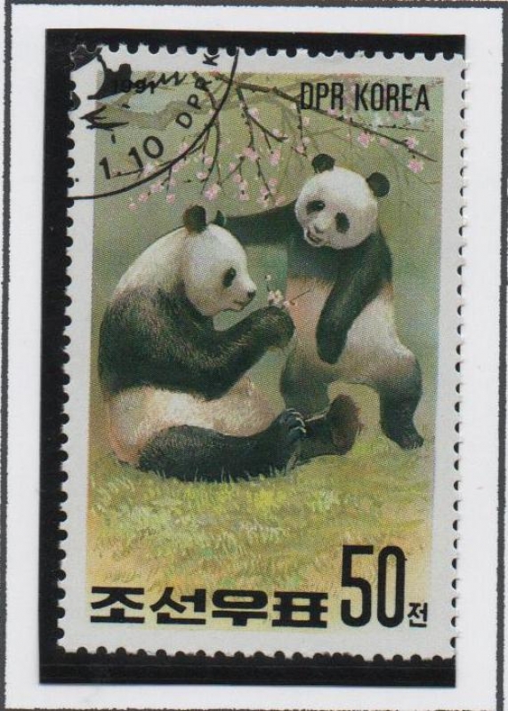 Oso Panda