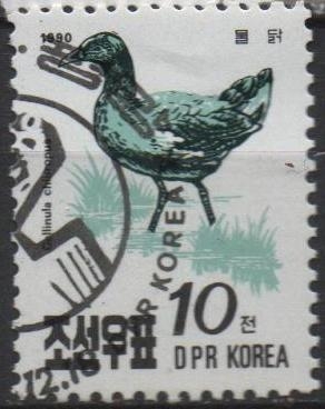 Aves: Pollo d' Agua