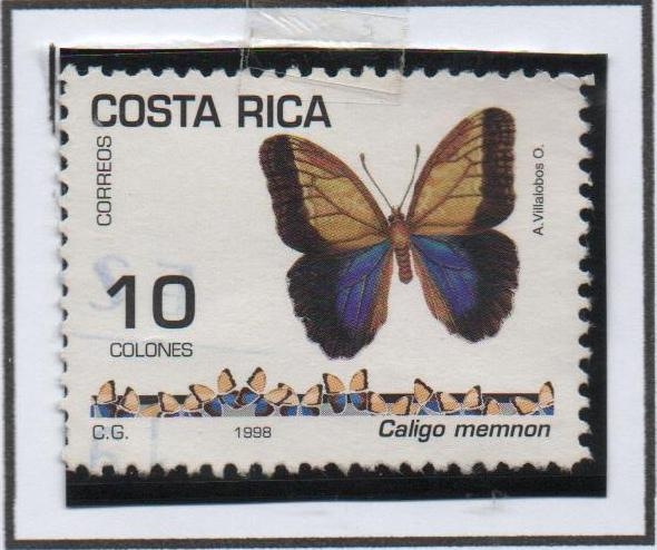 Mariposa Galigo Memmon