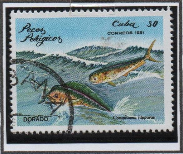 Peces: Dorada