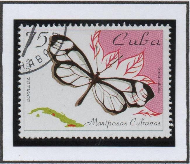Mariposas: Greta cubana