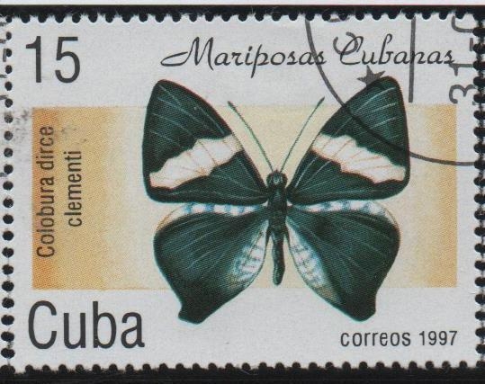 Mariposas: Colobura dirce