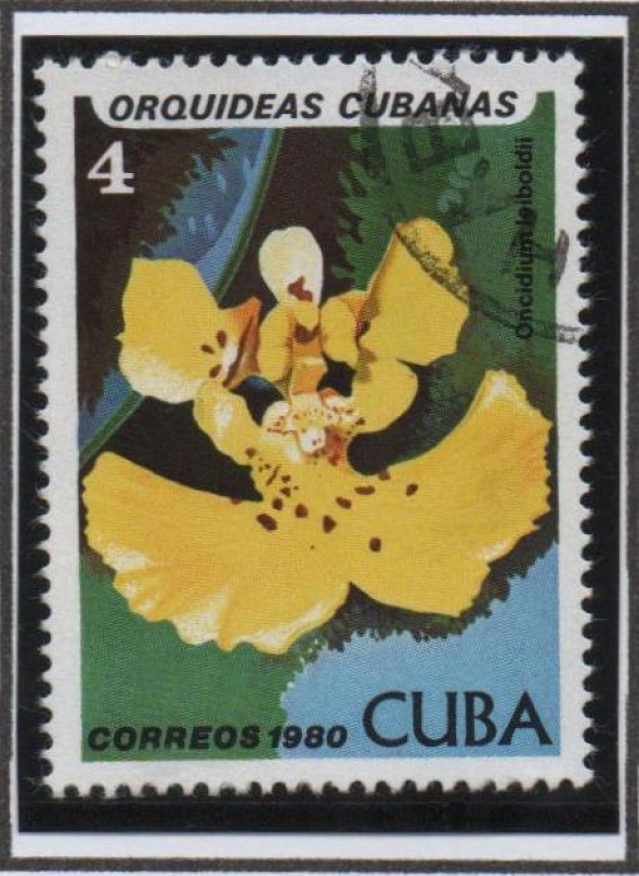 Orquídeas cubanas: Leiboldil