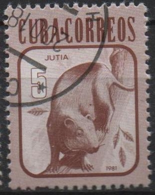 Fauna: Jutia