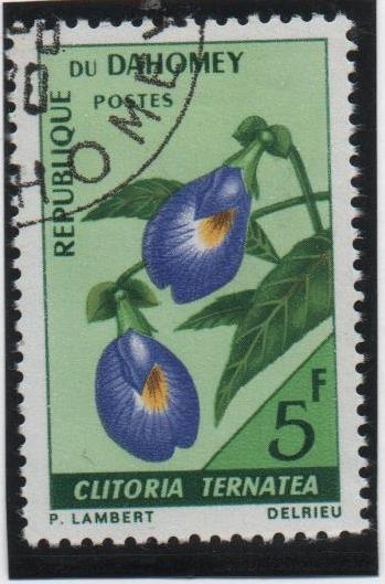 Flores: Clitoria Ternatea