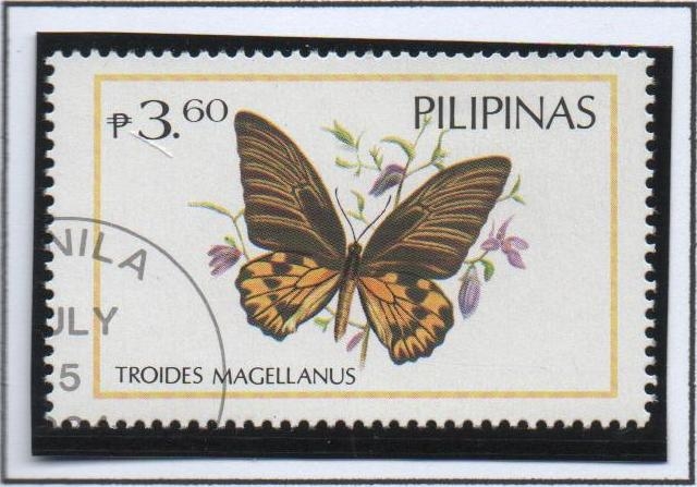 Mariposas: Troides Magellanus