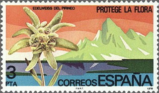 ESPAÑA 1978 2469 Sello Nuevo Proteccion de la Naturaleza Edelweiss del Pirineo