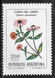 Flores - Chinita del Campo