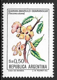 Flores - Guaran amarillo (Tecoma stans)