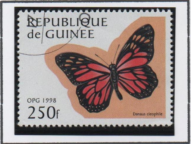 Mariposas: Danaus cleophile