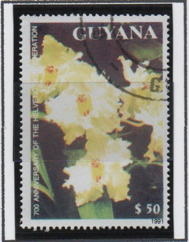 Orquídeas:  Odontoglossum crispum