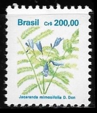 Flora Brasilera = Jacaranda mimosifolia