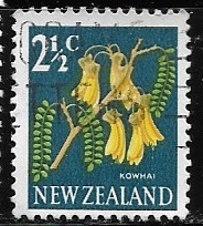 Flores - Kowhai