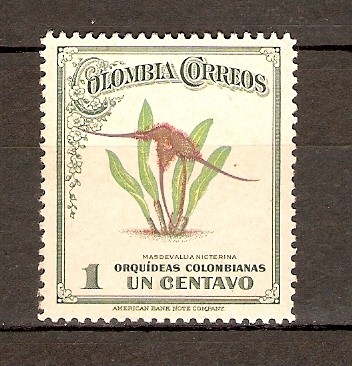 Orquídea